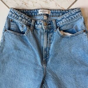 Abercrombie Fitch The 90s Relaxed Jean High Rise Curve Love Sz 28/6 Lighter wash